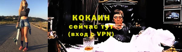 ALPHA PVP Няндома