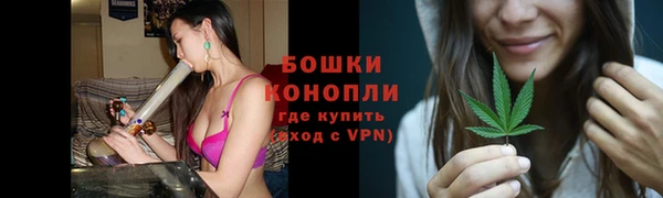 ALPHA PVP Няндома