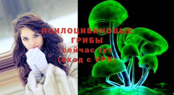 ALPHA PVP Няндома