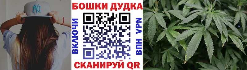 Бошки Шишки THC 21%  продажа наркотиков  Ивантеевка 